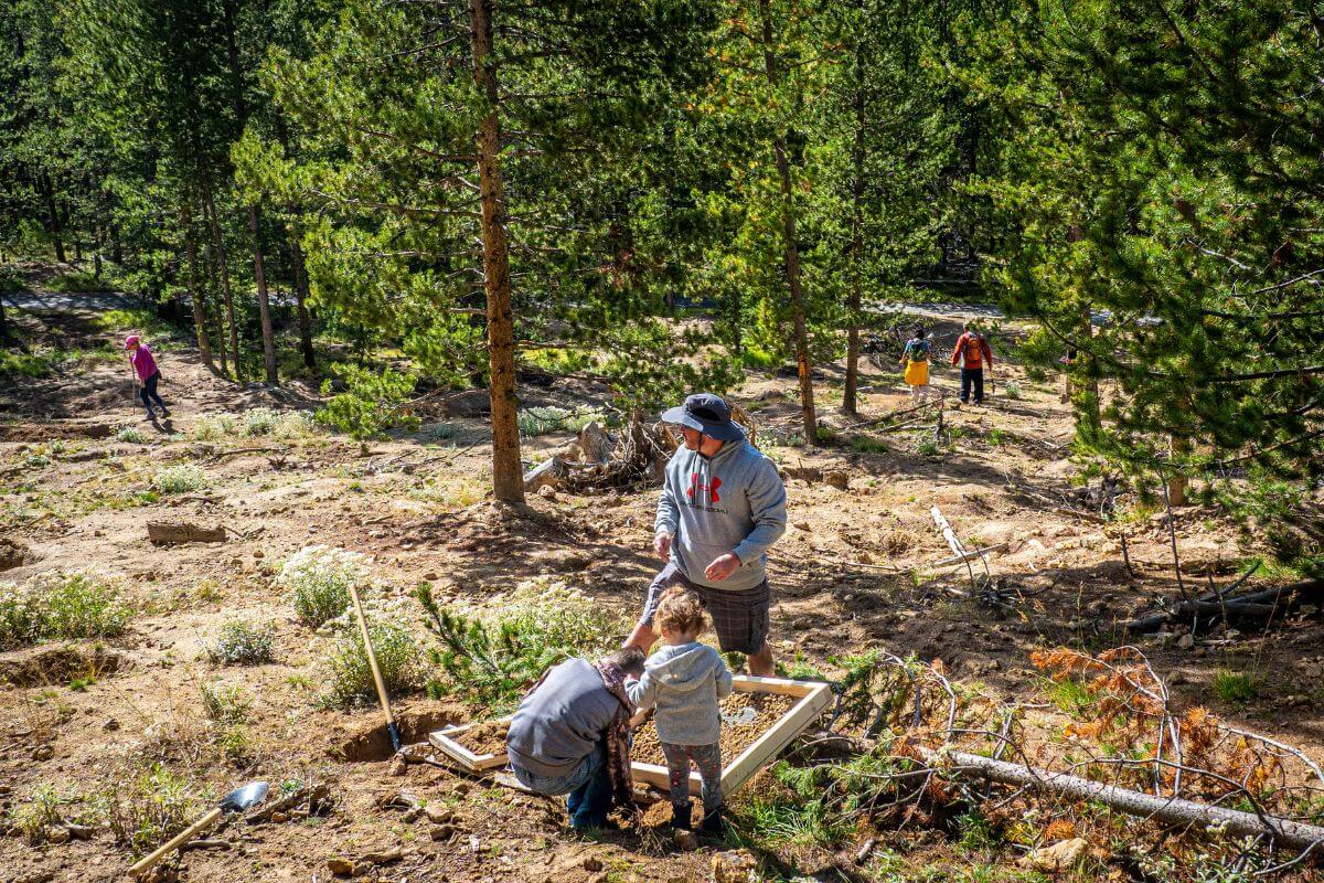 A family enjoys their budget-friendly day trip in Montana, as they explore a wooded area.