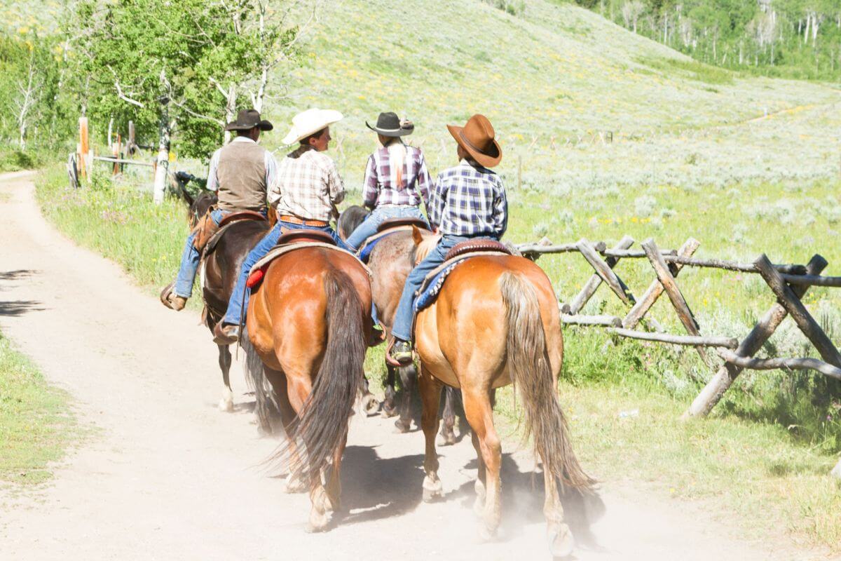 Four horseback riders in cowboy hats ride along a dusty trail with a green meadow and trees in the background in Montana.
