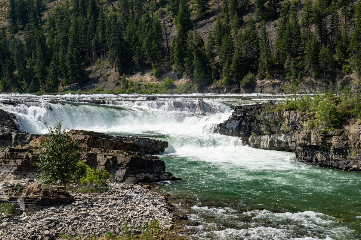 The Kootenai River, into which Kootenai Falls flows, is surrounded by tall trees and vegetation.