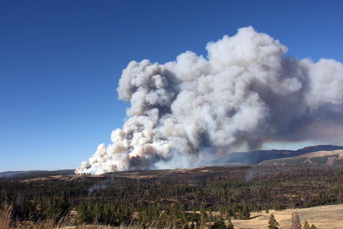 A large plume of smoke rises from a distance in a Montana forest.