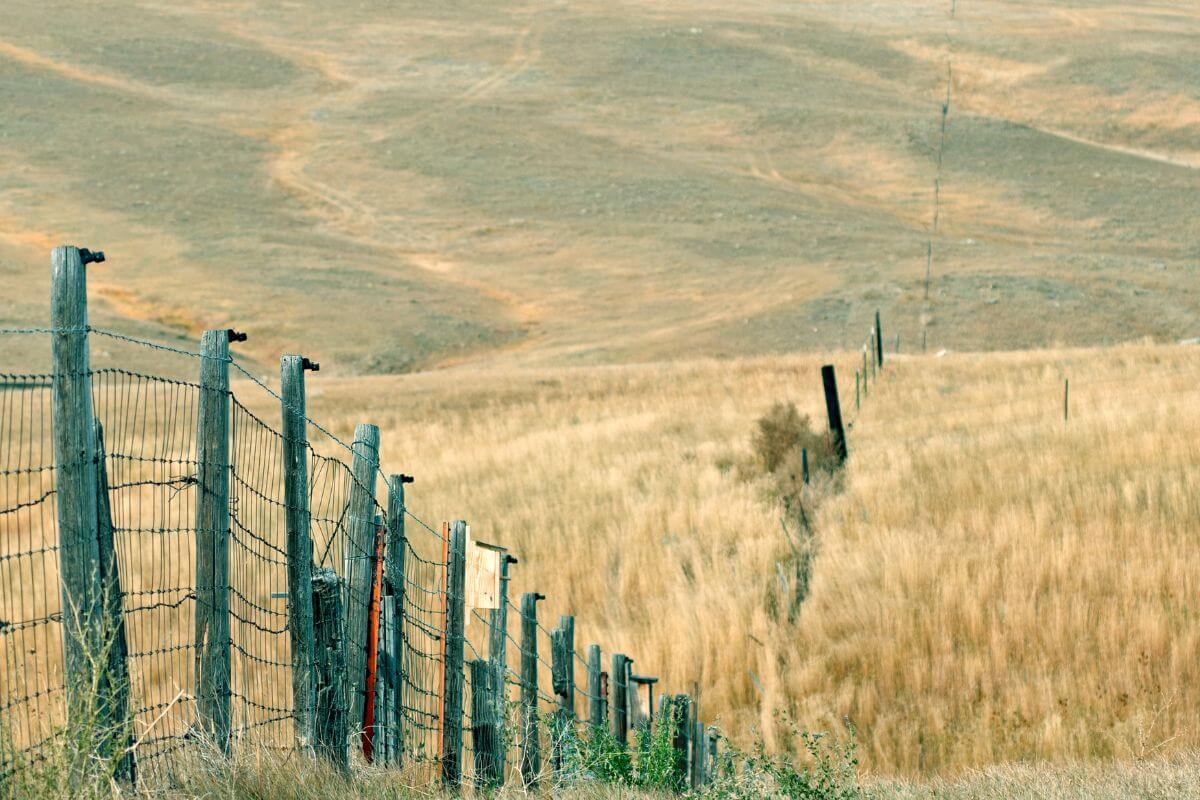 A fence in a grassy field in Montana.