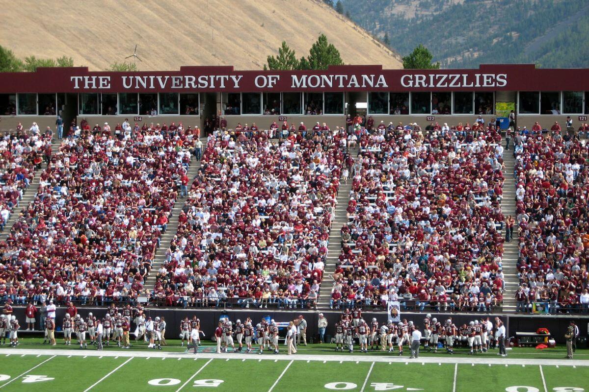 Montana Grizzlies Game Audience