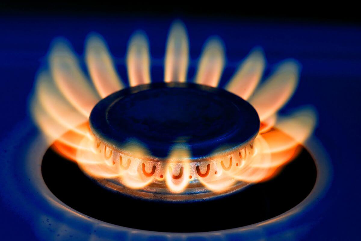 A Close-up of a Gas Stove Burner Actively Burning