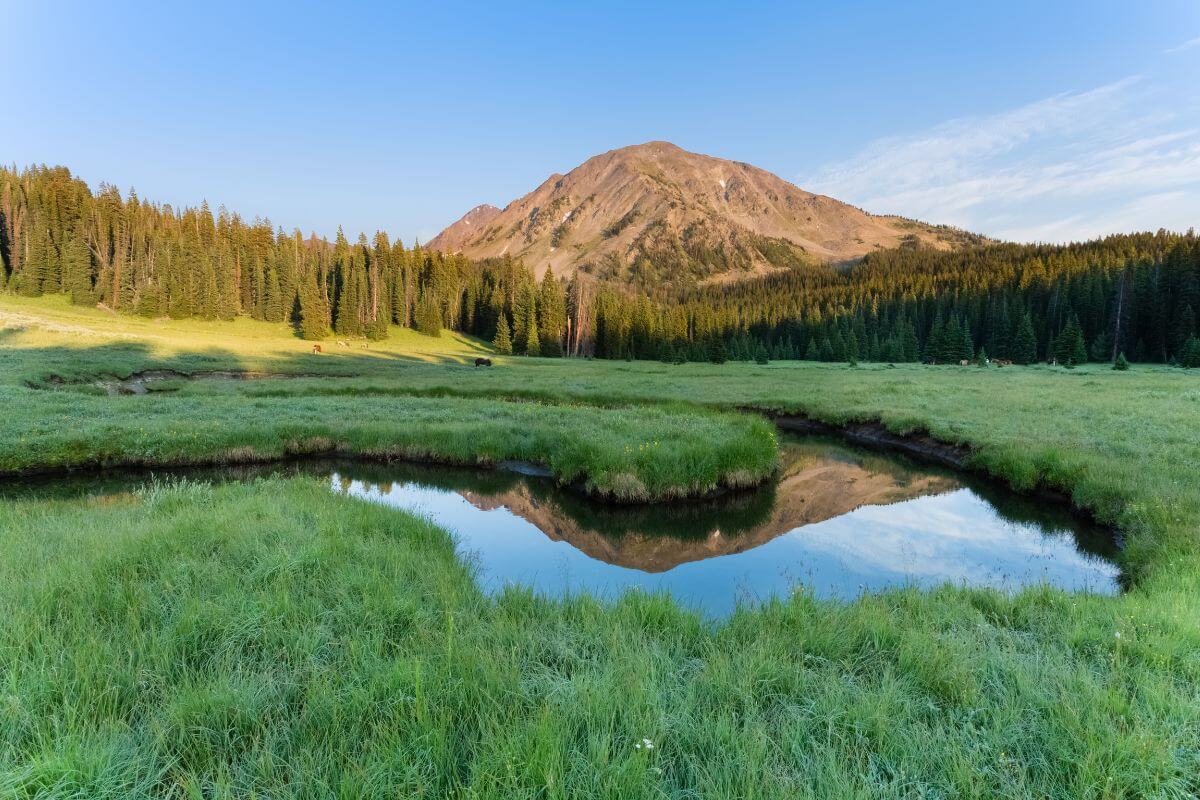 A mountain is reflected in a pond surrounded by grass