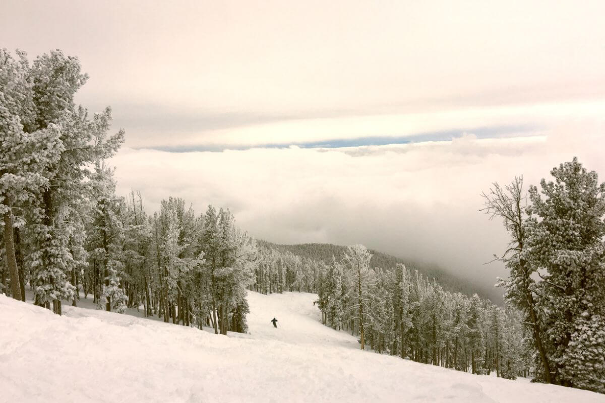A Person Skiing Down a Snowy Slope With Trees in Montana