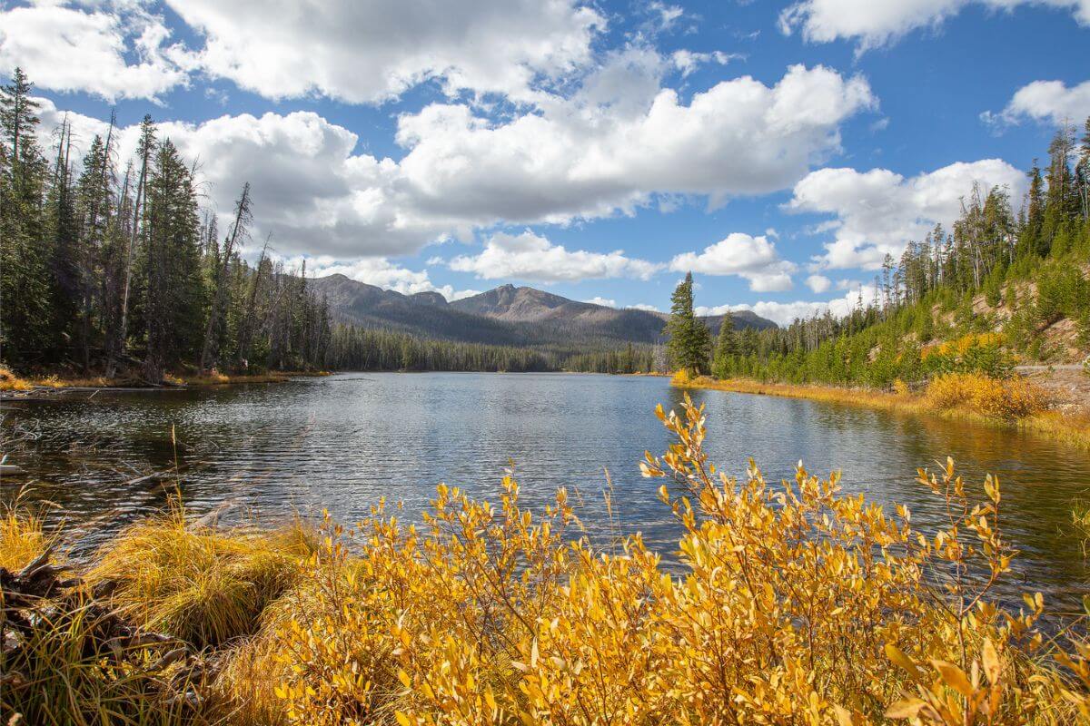 Yellowstone National Park of Montana in the fall season.