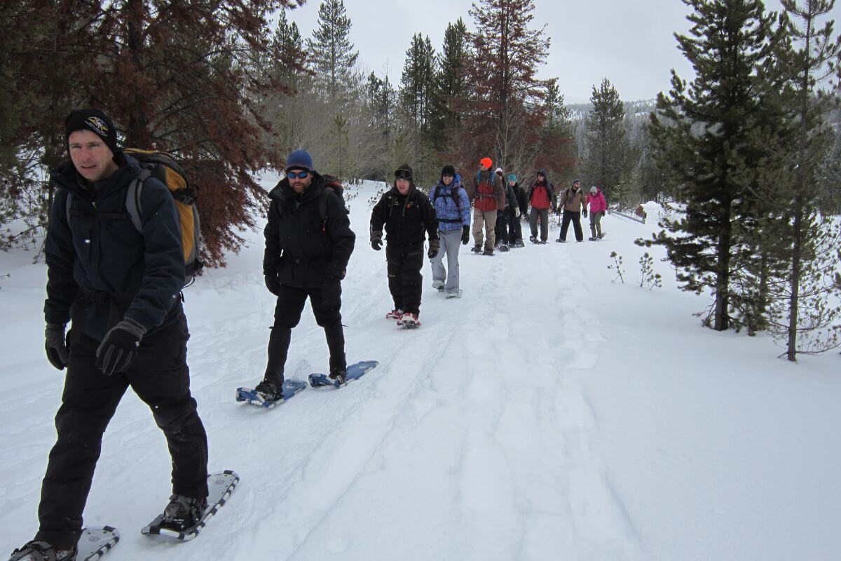 A group of people walking on snowshoes in Montana in February.