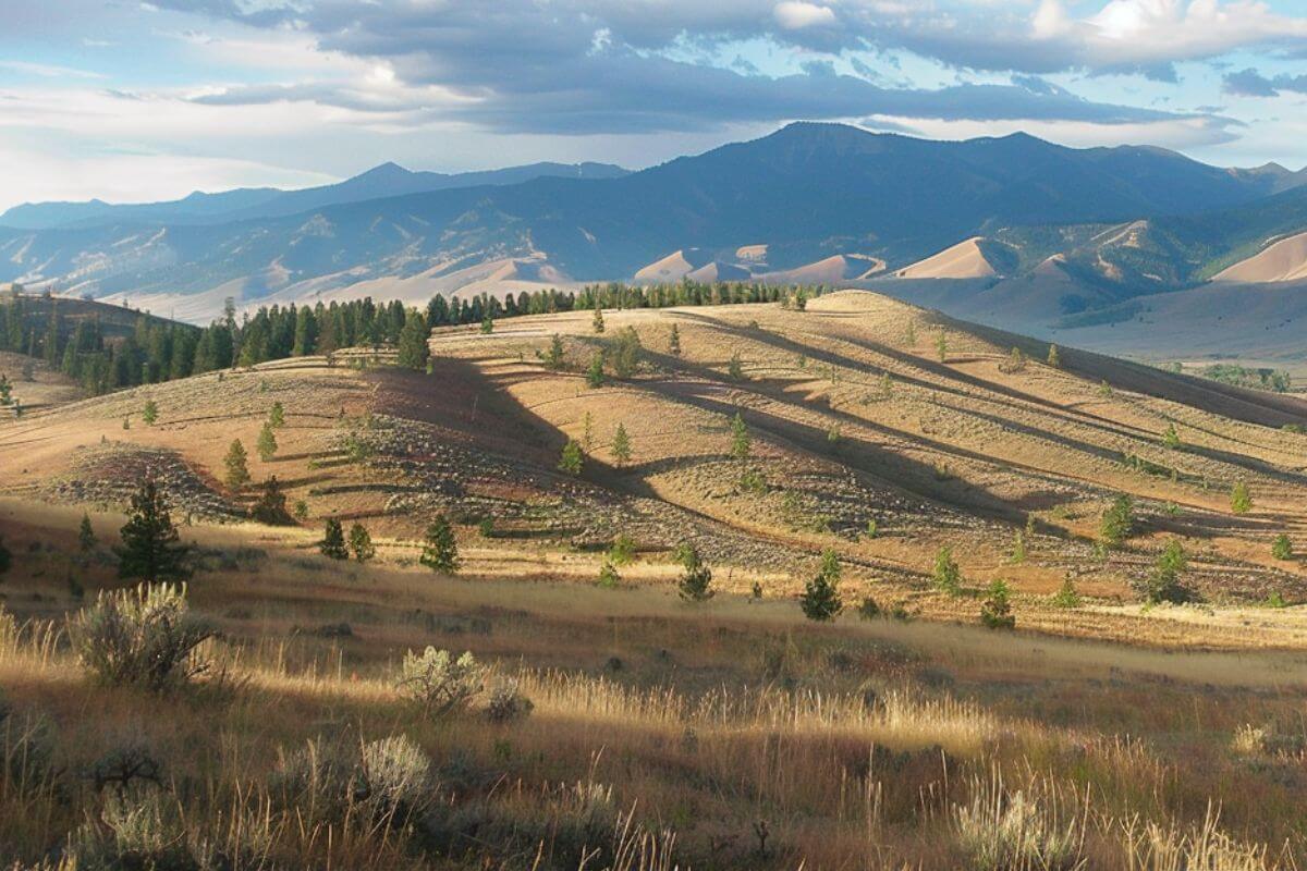 Rolling hills at a ranch tour from the 2023 Montana Range Tour.