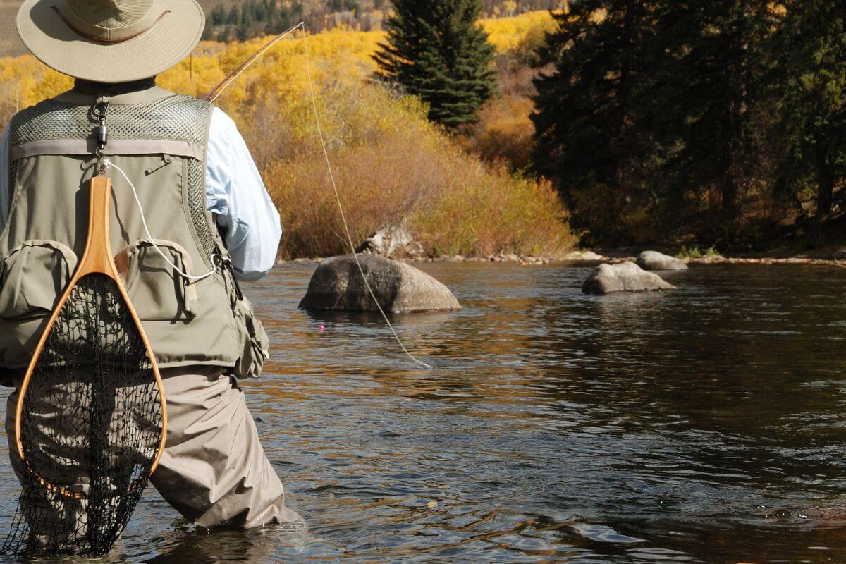 A fisherman in waders and a wide-brimmed hat stands in a peaceful river focused on fly fishing.