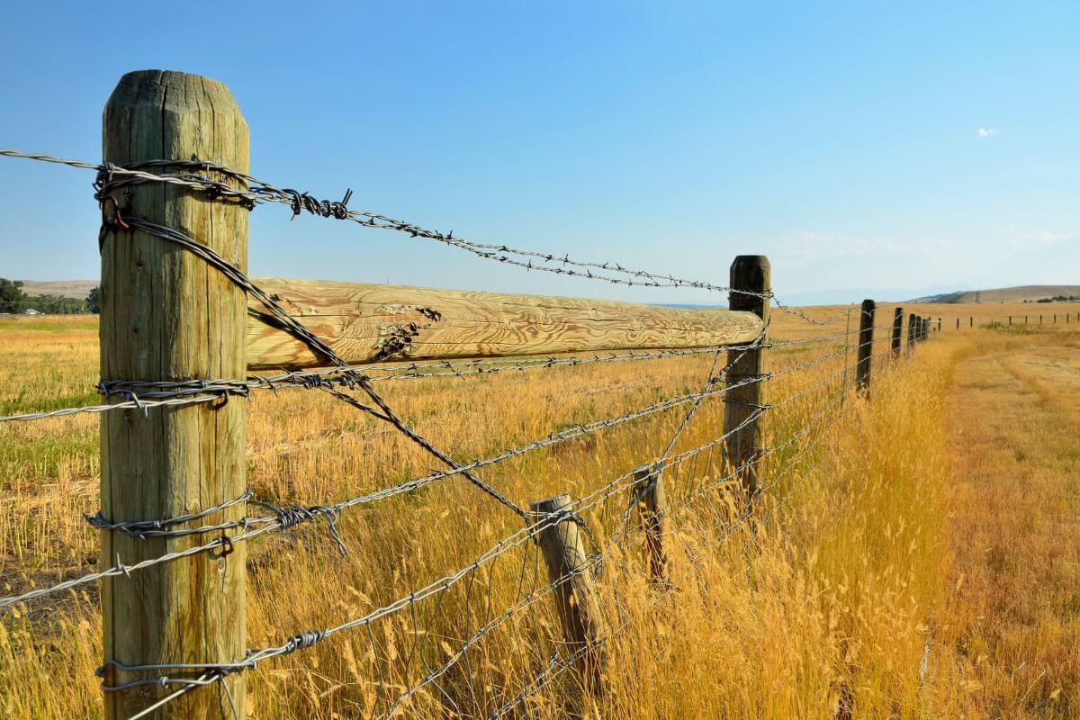 A barbed wire fence on a Montana homestead