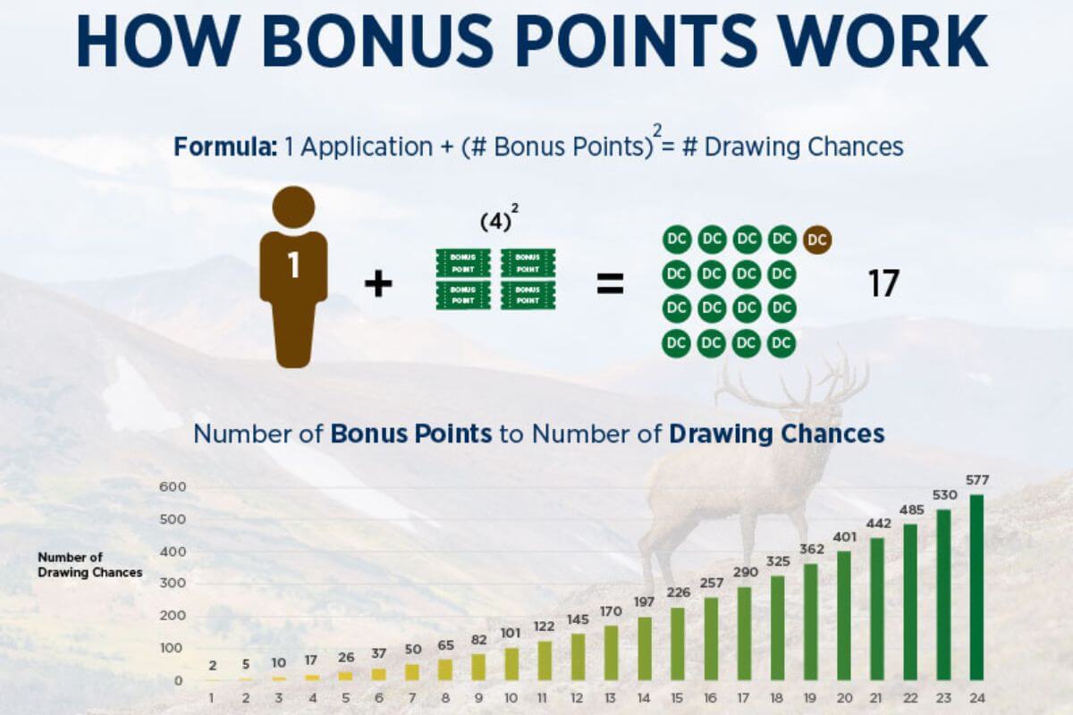 Infographic titled "How Bonus Points Work" illustrates how bonus points work in Montana.