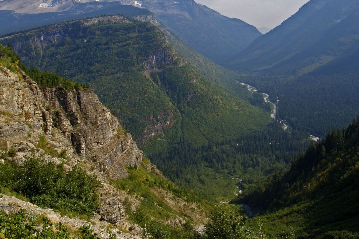 A lush valley in Montana, adorned with a river and embraced by a thriving forest.