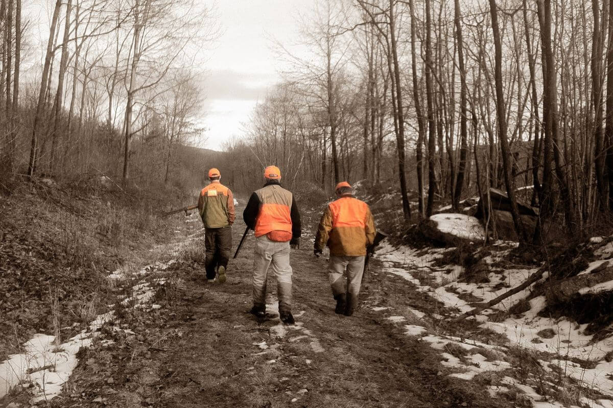 Three hunters from a Montana mountain lion outfitter are walking down a snowy forest trail dressed in camouflage and bright orange safety gear, carrying rifles.