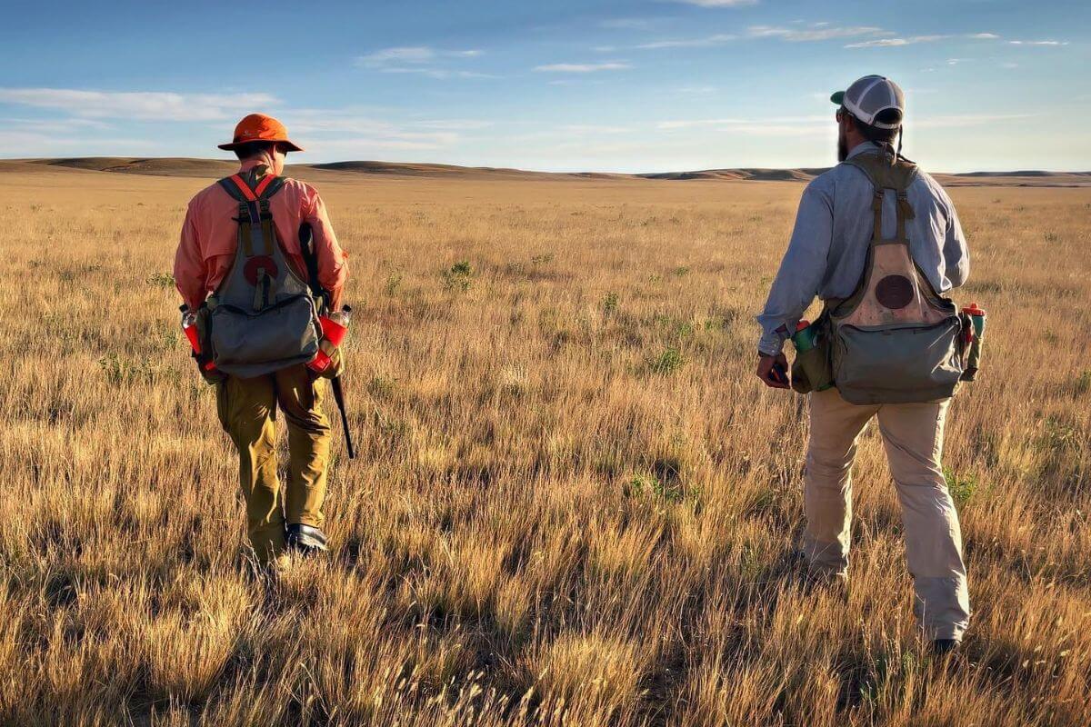 Two hunters walk through a field during a Montana upland bird hunting trip guided by a top-tier outfitter.