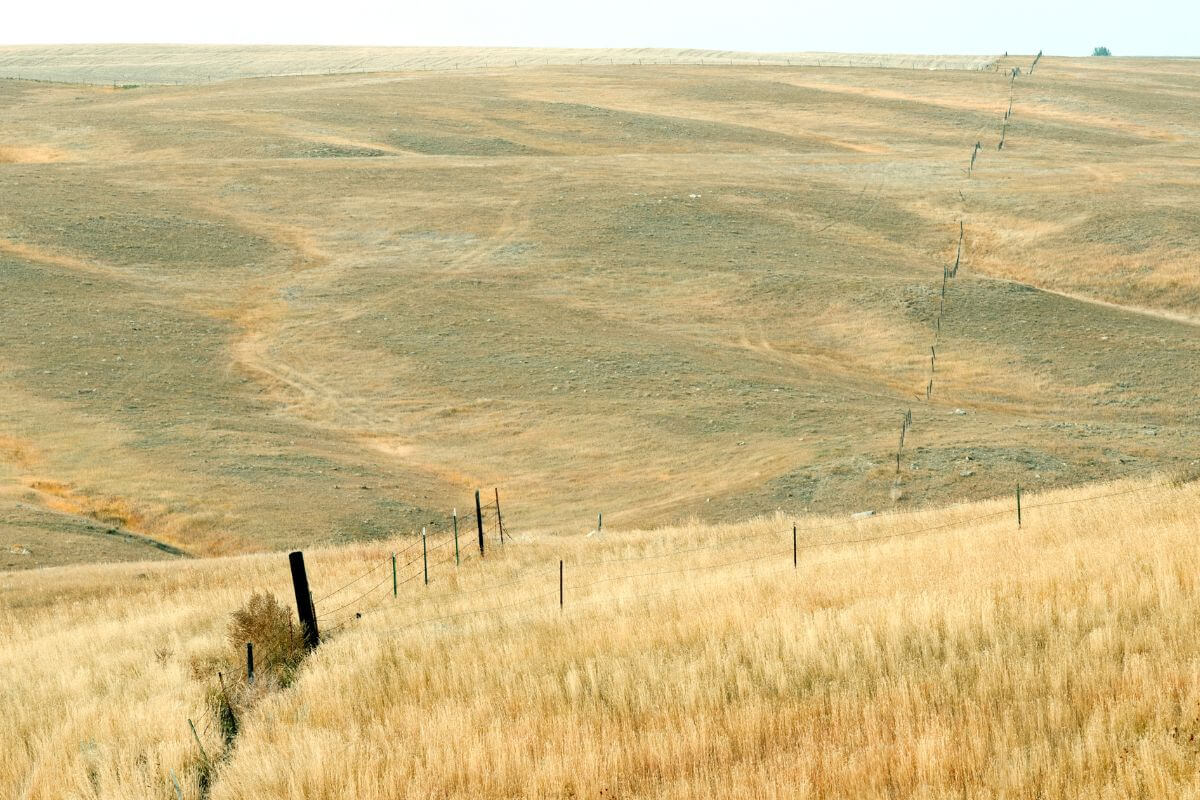 A grassy field divided by a fence represents private hunting lands in Montana, offering more exclusive hunting opportunities.