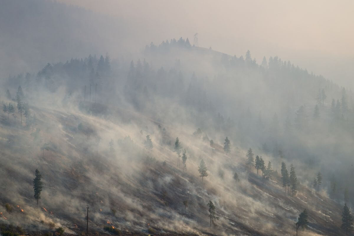 Smoke envelops a hillside in Montana that has recently been swept by a fire.