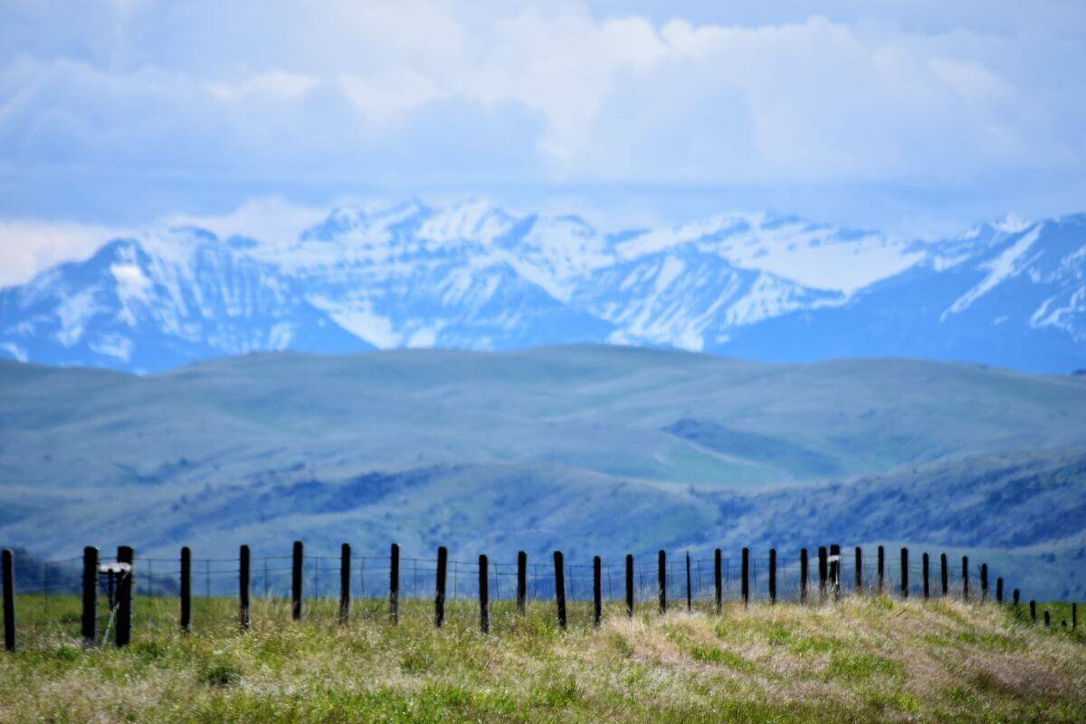 A fence with snow capped mountains in Montana.