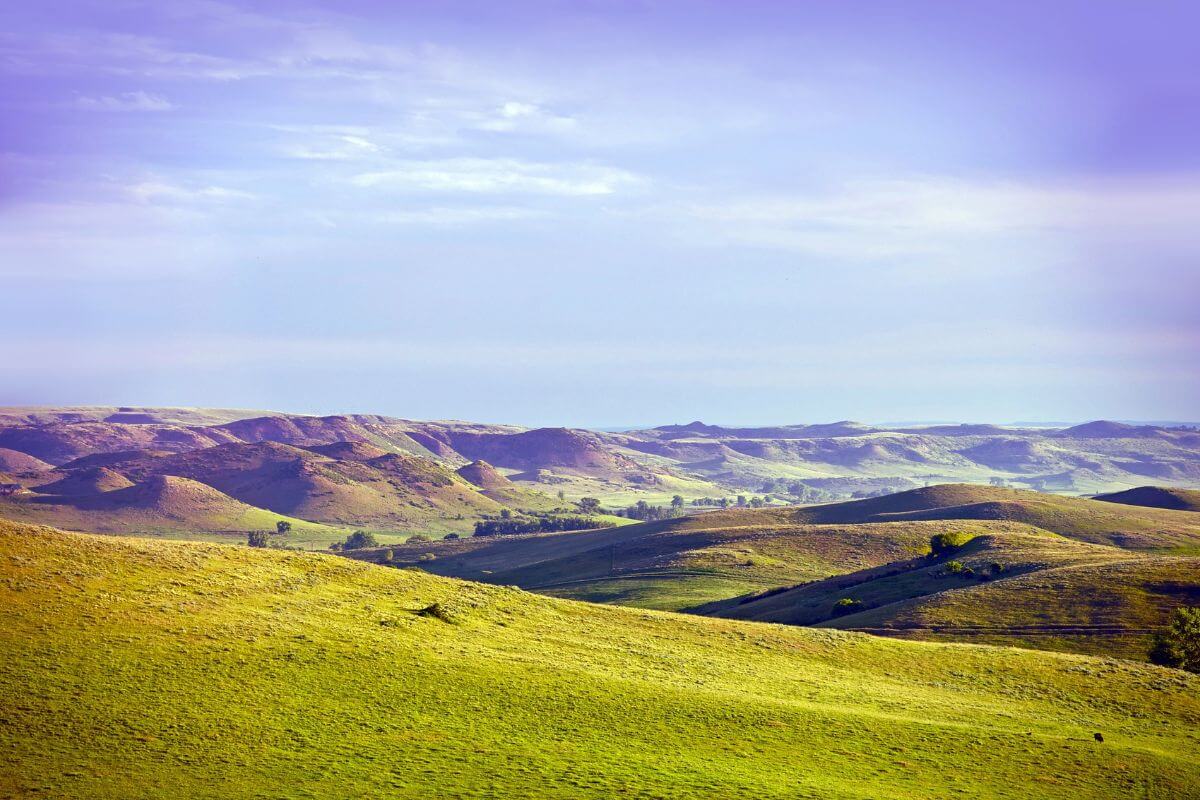 Green grassy hills with a blue sky in Montana.