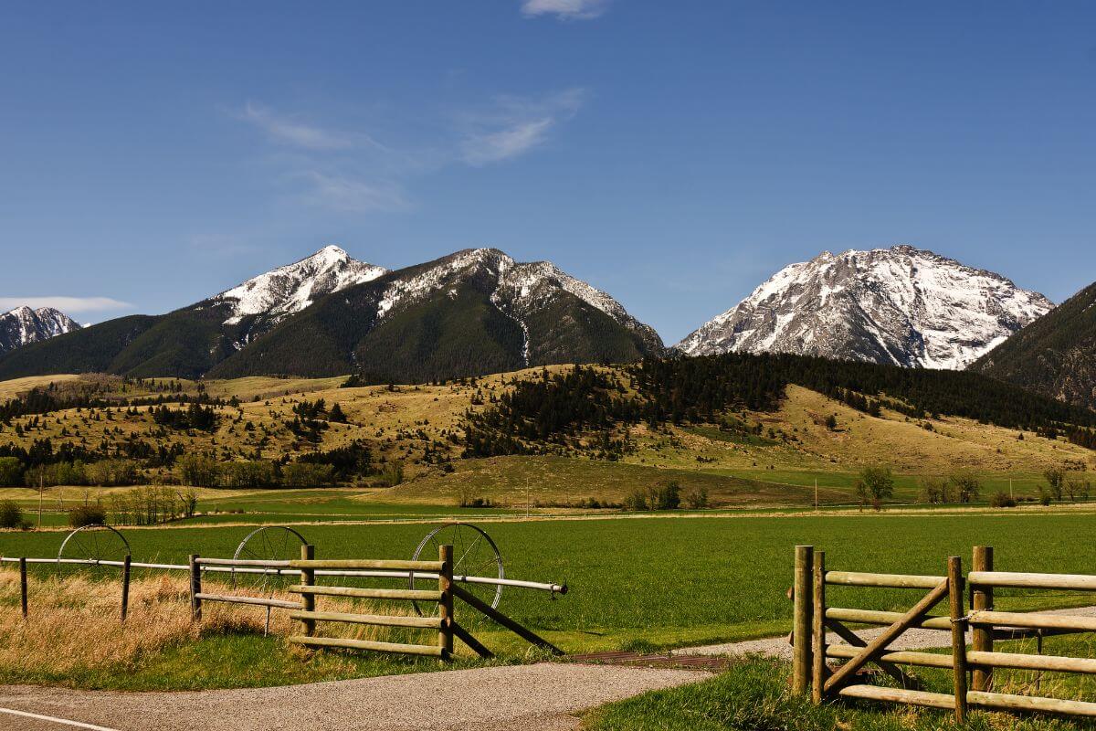 A green field framed by snow-capped mountains.