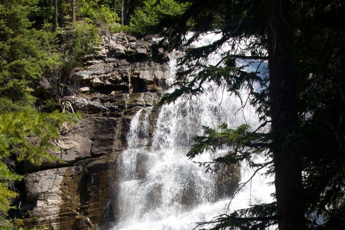 Morrell Falls tumbles over rocky cliffs amid a lush forest in Montana