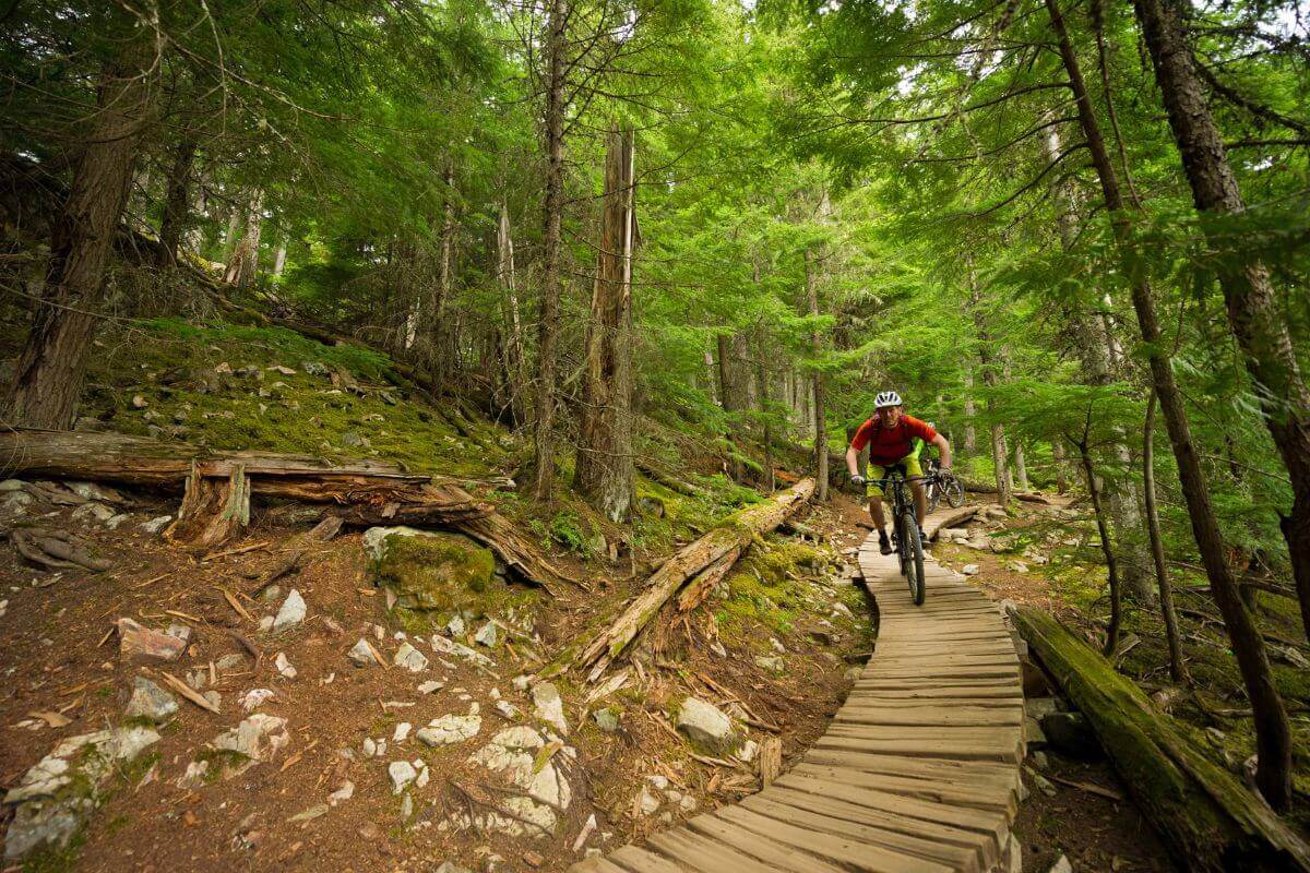 A man enjoying his montana vacation riding a mountain bike on a wooden boardwalk in the forest.