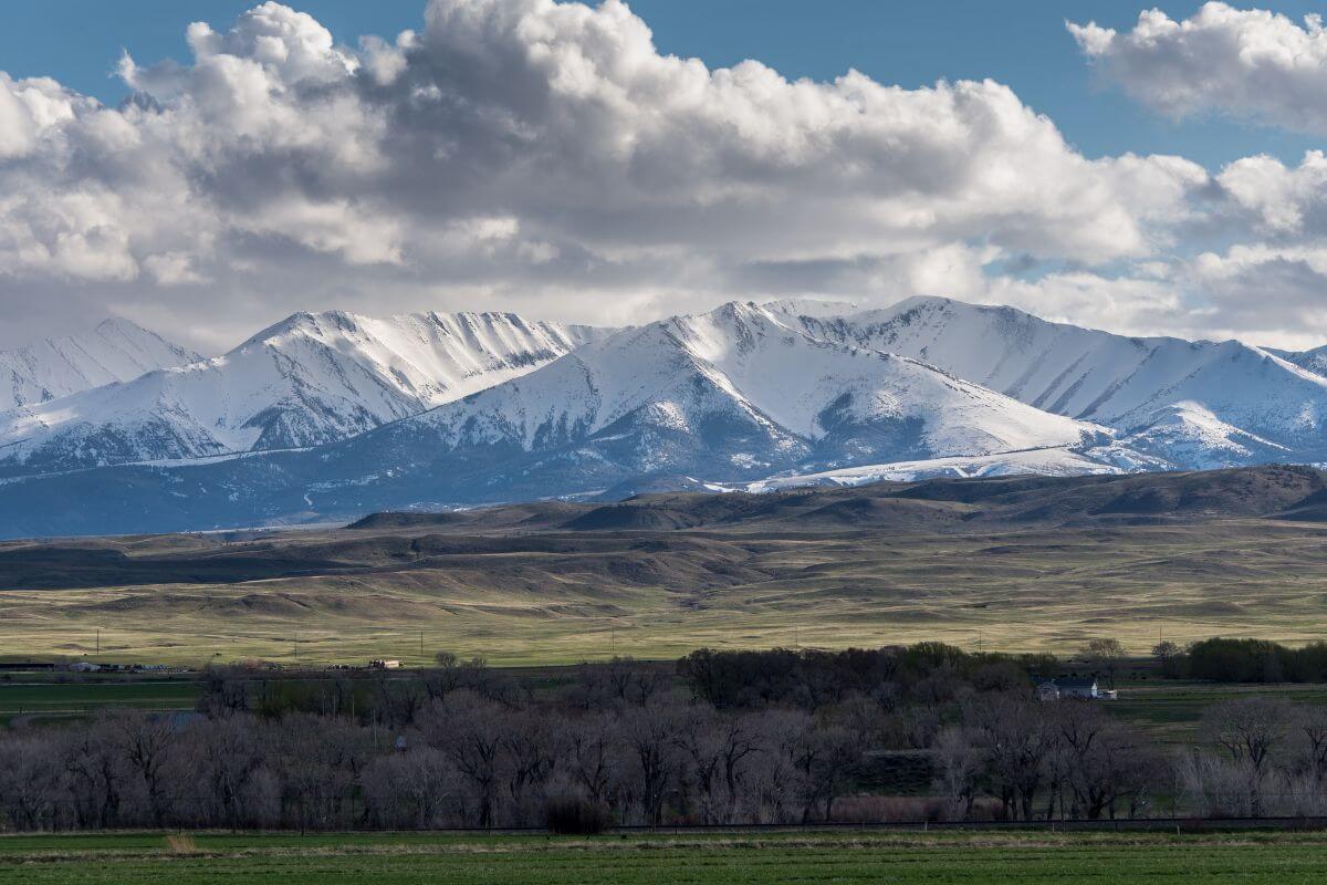 A snow-capped mountain range in Montana with an expansive field in the foreground.