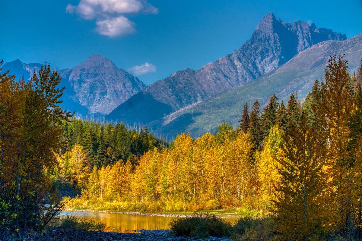 A picturesque landscape in Montana featuring a river with vibrant yellow trees and mountains.