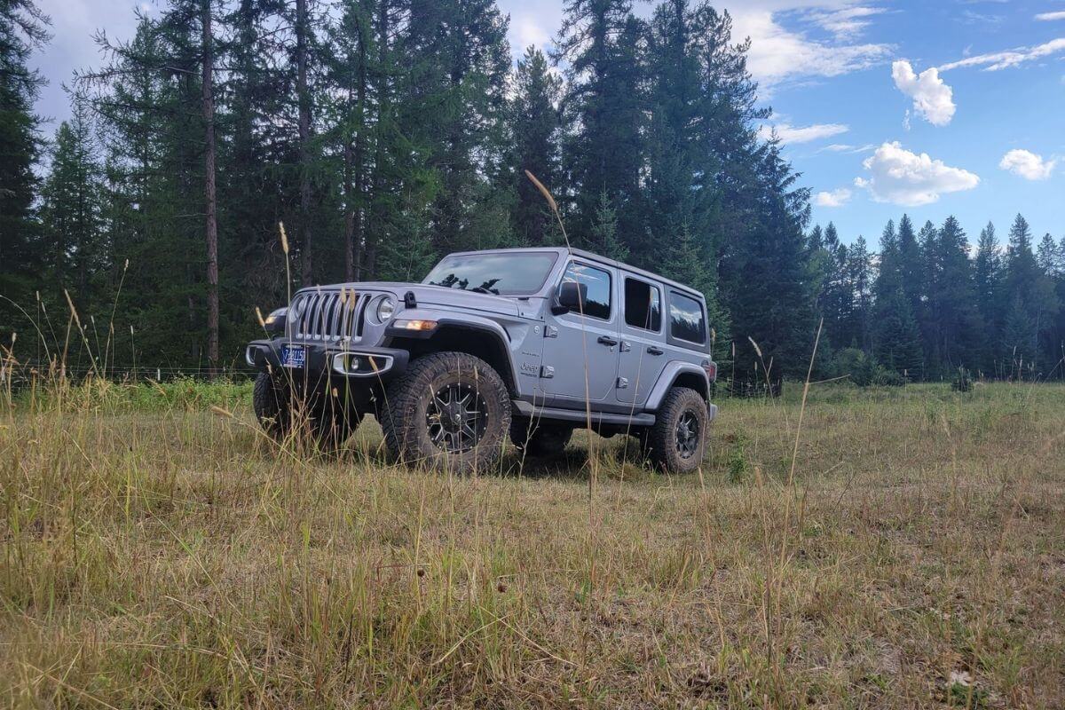 A grey Jeep Wrangler from Glacier Jeep Rentals parked amid tall grass, with a backdrop of dense pine trees, ready for a Montana jeep tour.