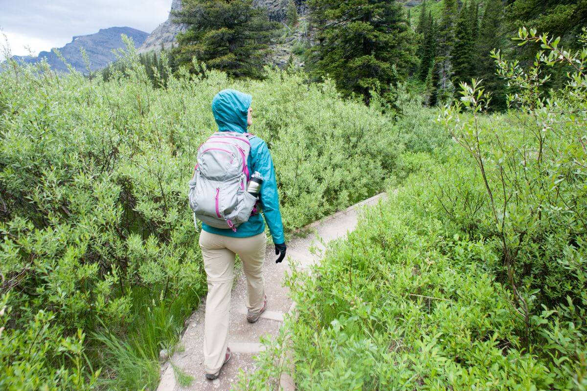 A person wearing a teal jacket and carrying a gray backpack is hiking on a trail surrounded by dense greenery in a forested area with mountains in the background.