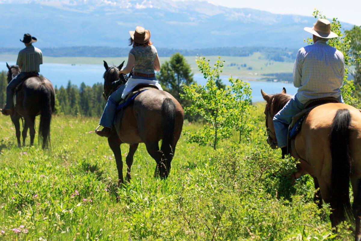 Three horseback riders with cowboy hats enjoy a scenic trail ride in a lush green field with a mountainous backdrop in Montana.