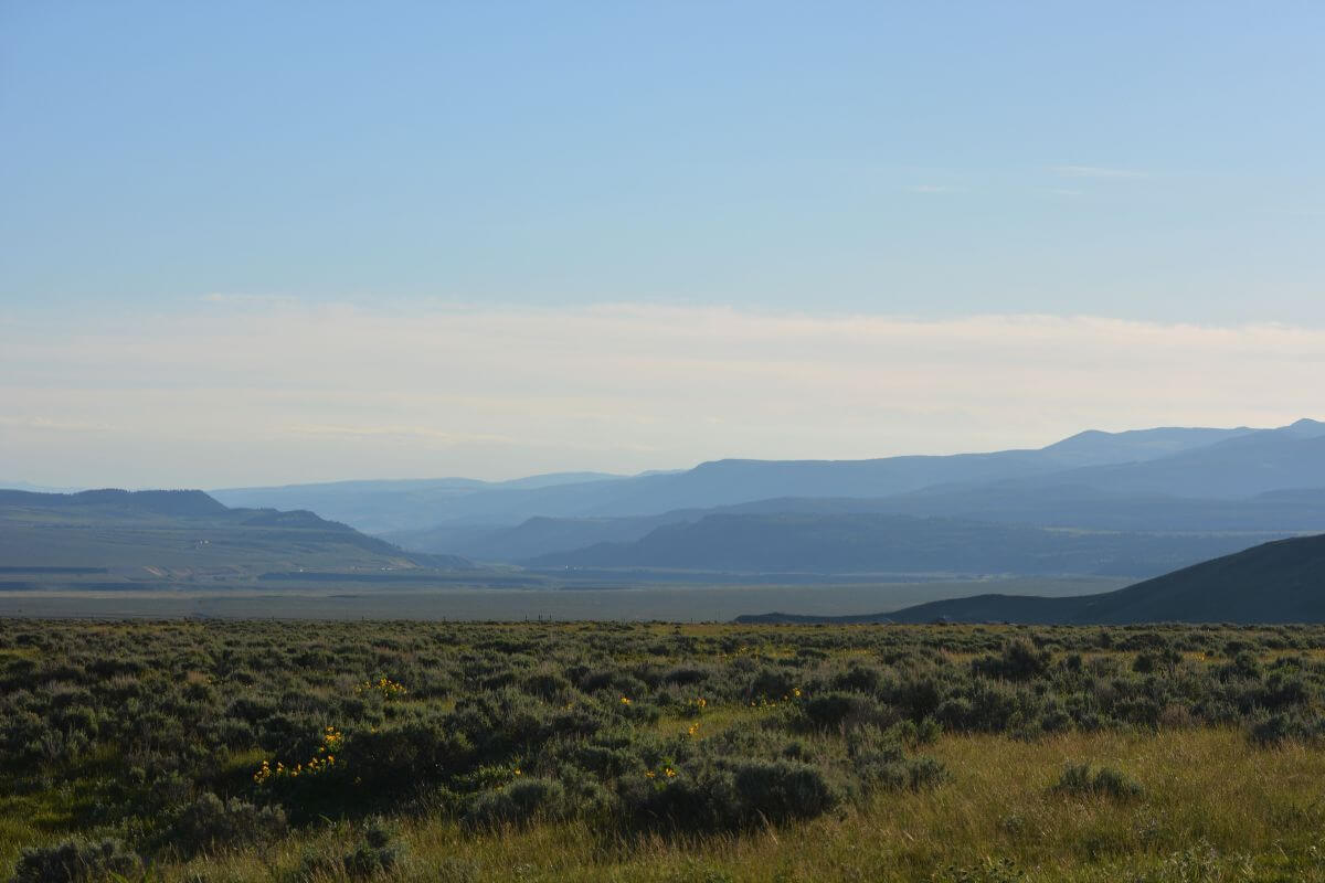 A view of Montana's grassy plains set against the backdrop of mountain ranges under the clear blue sky.