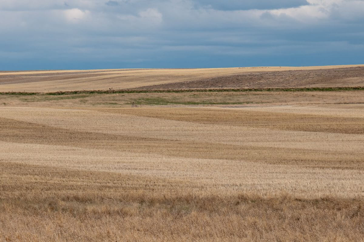 An empty field of under a cloudy sky in Montana.