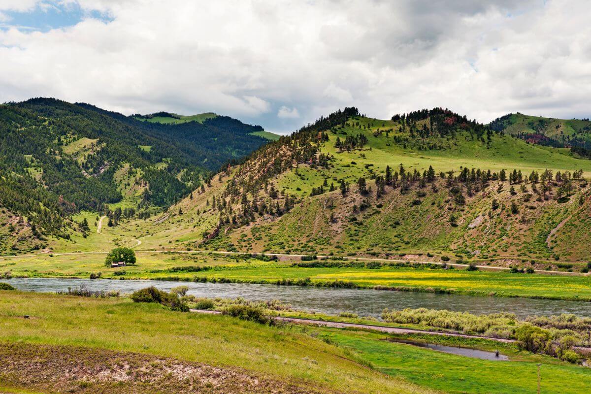 A Valley With a River in Montana