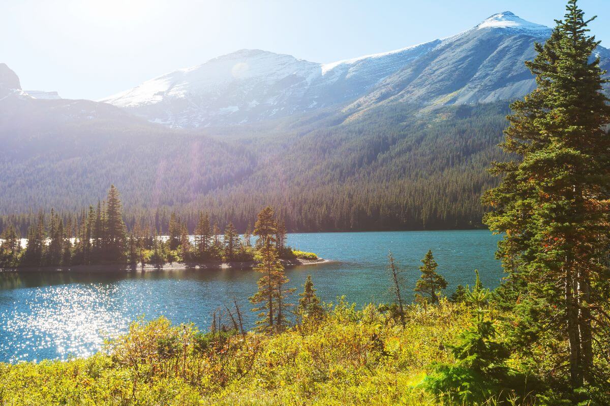 A lake in Glacier National Park.