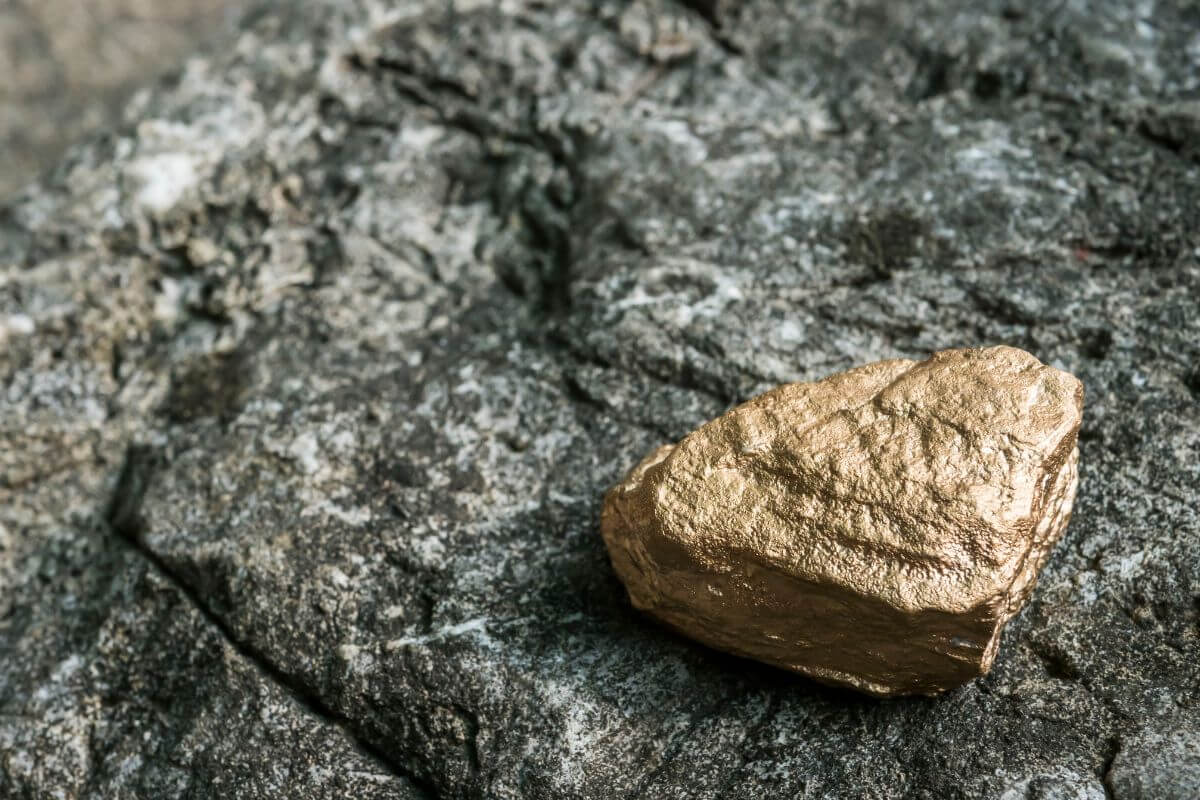 A gold nugget unearthed during the historic Montana Gold Rush.