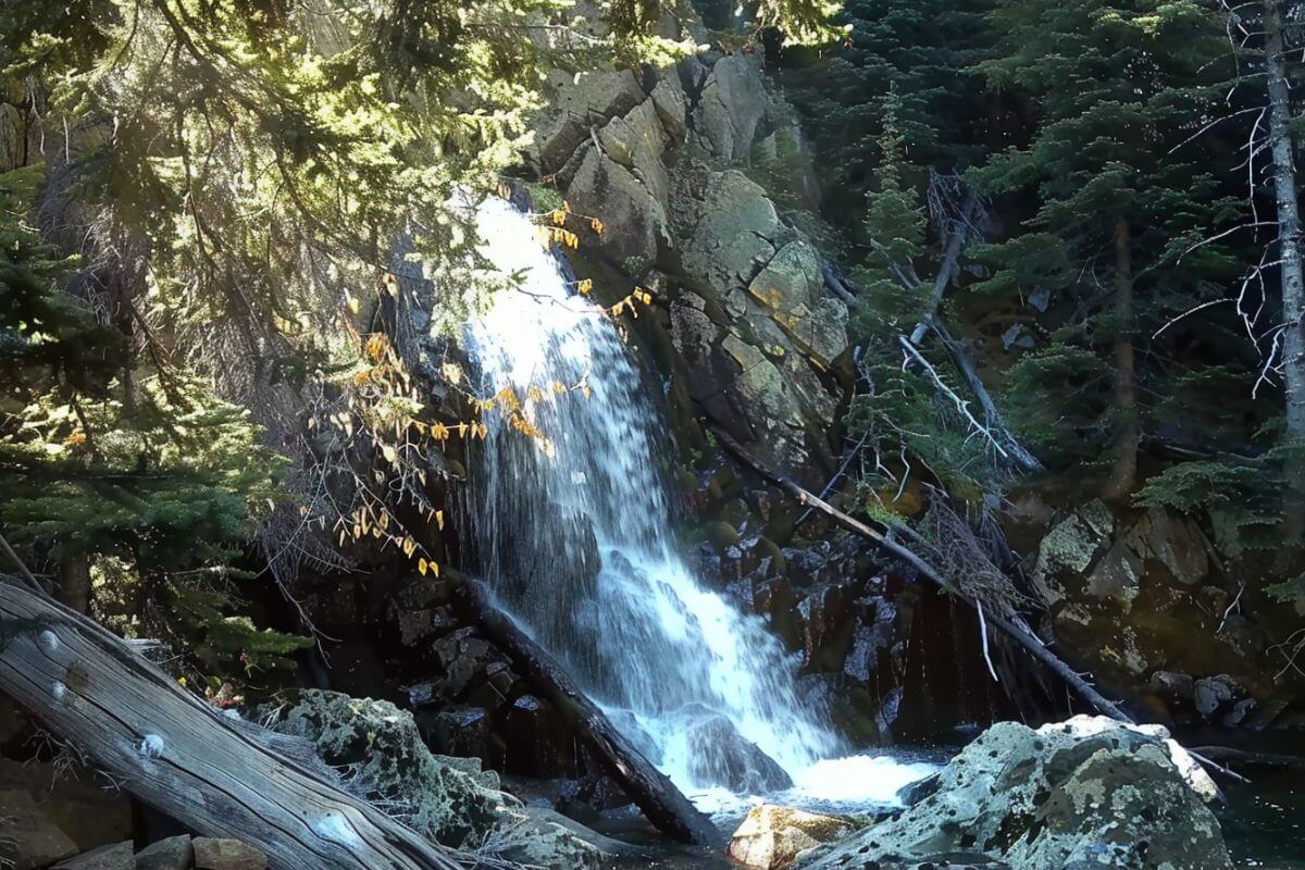 Pioneer Falls in Montana tumbles down a rocky cliff into a pool surrounded by pine trees, fallen logs, and boulders, highlighted by sunshine.