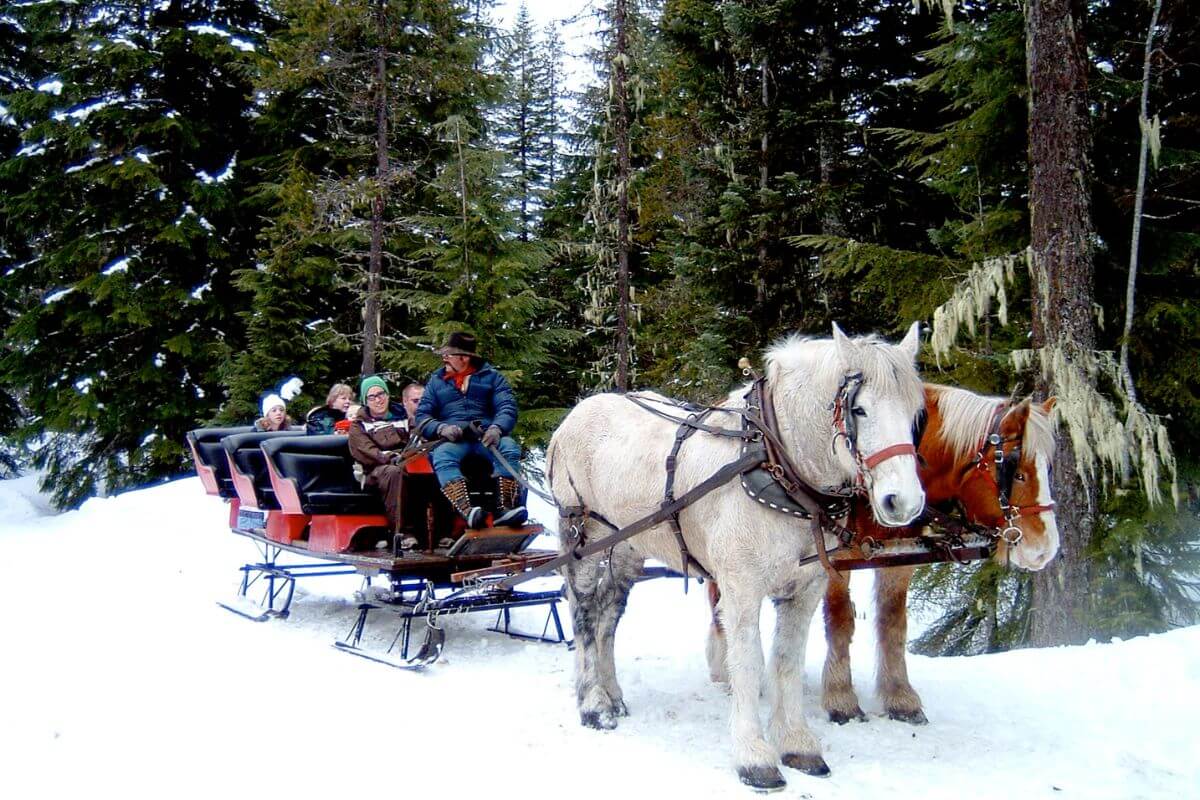A group of people riding in a horse drawn sleigh in Montana.