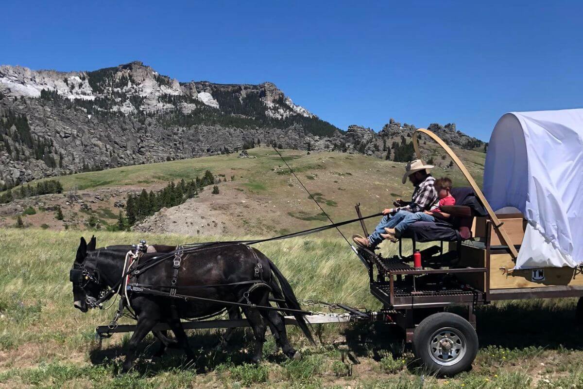A horse pulls a covered wagon train with two passengers enjoying the ride, courtesy of Montana Outfitters.