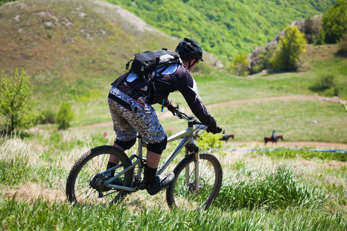 A mountain biker rides downhill on a grassy trail with cows grazing in the background under a clear sky in Montana.