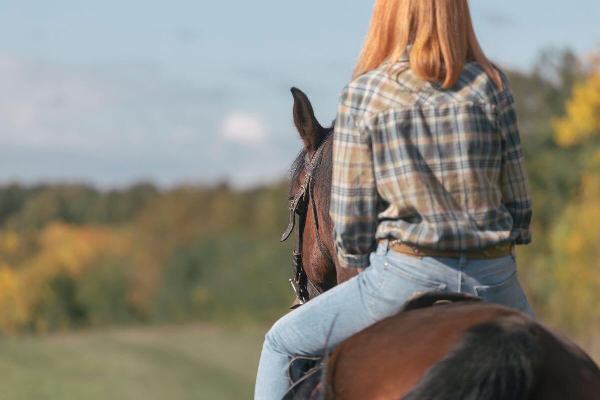 A woman wearing a plaid shirt and jeans, sits on a Montana mountain horse.