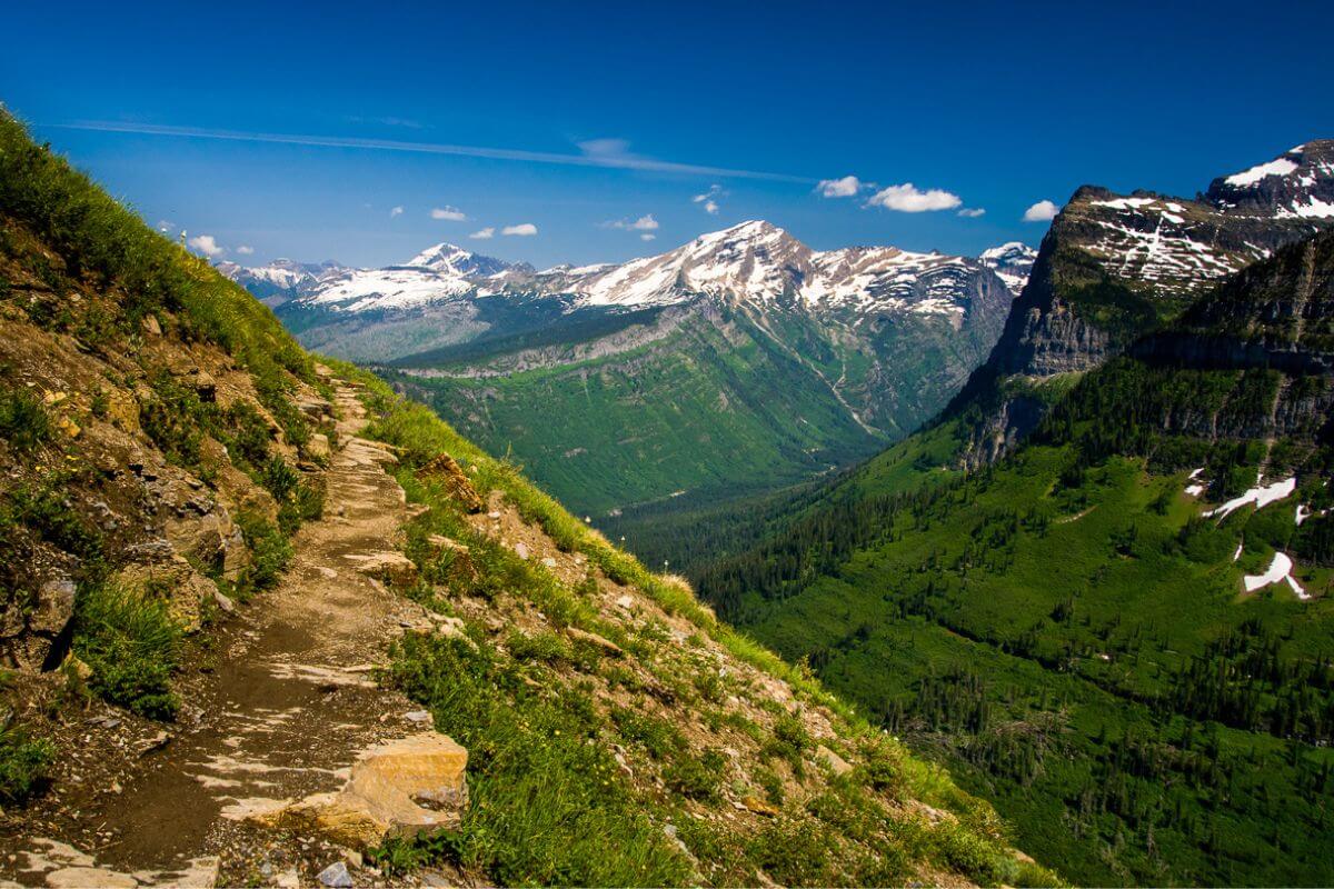 A trail leading up to a mountain in Montana in August, within Glacier National Park.