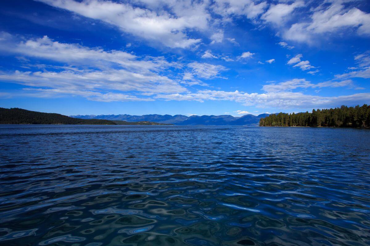 Flathead lake, located in Montana, is renowned for its breathtaking beauty as one of America's largest freshwater lakes.