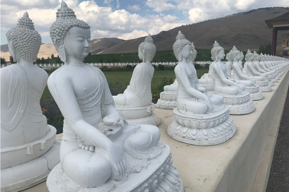 A row of white buddha statues with mountains in the background at the Garden of One Thousand Buddhas.