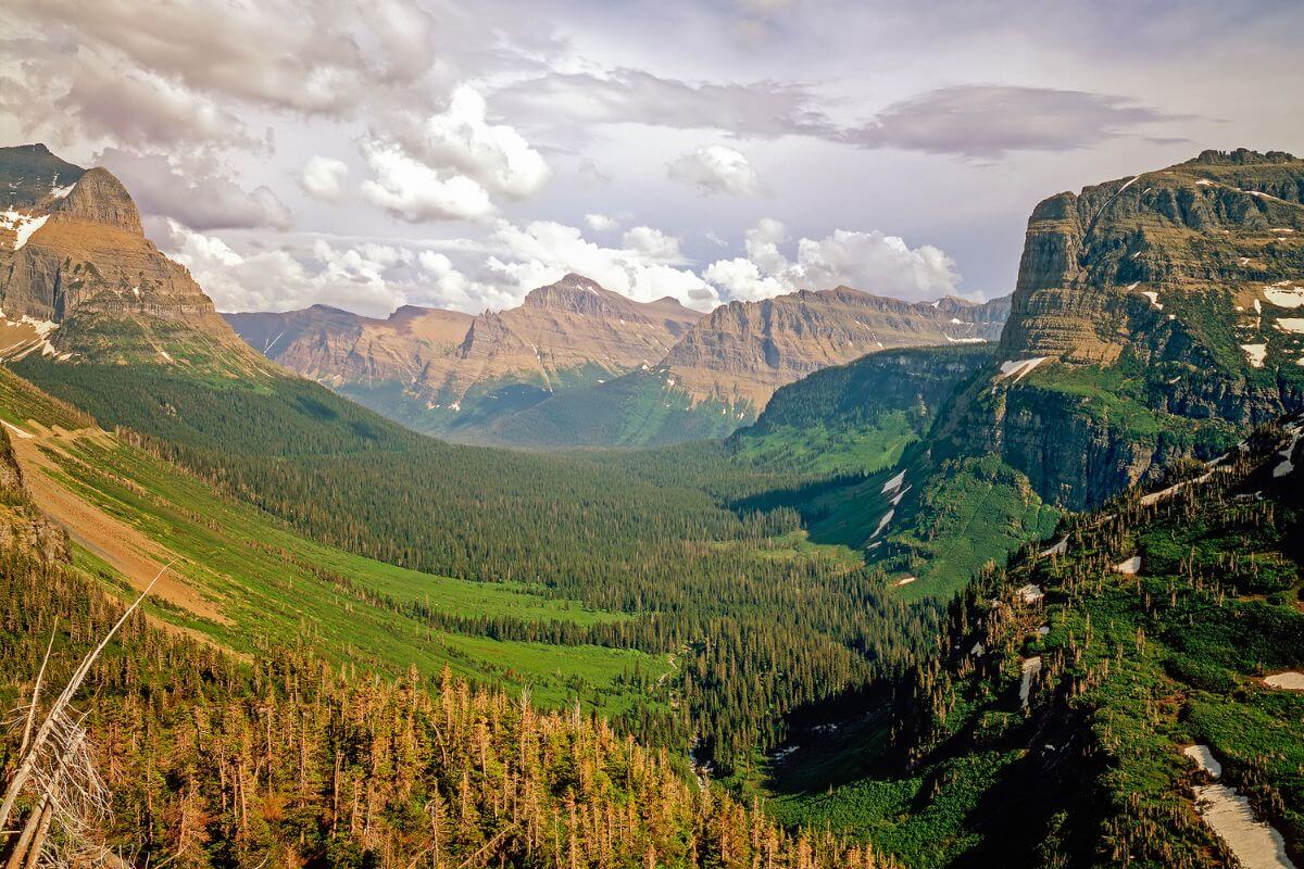 Panoramic view of a mountainous landscape in Glacier National Park, one of the best places to see Montana lynx.
