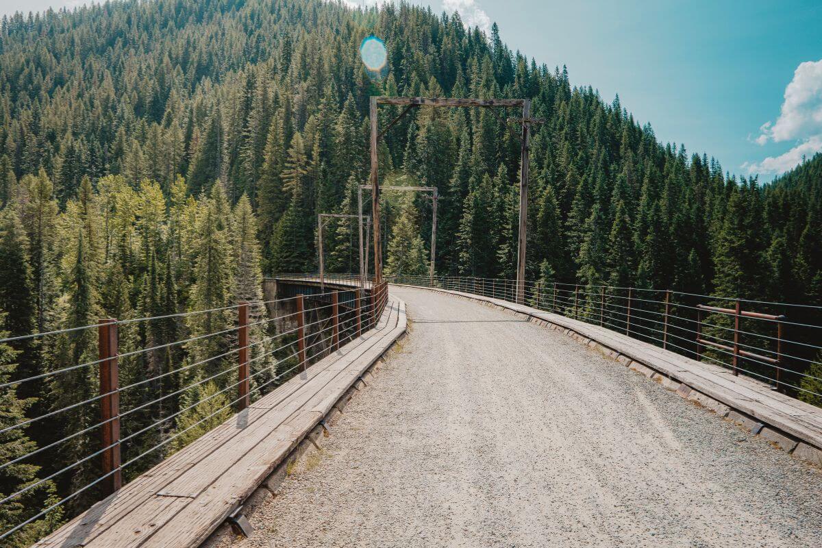 A bridge connects to a road that winds through a forest in Montana.