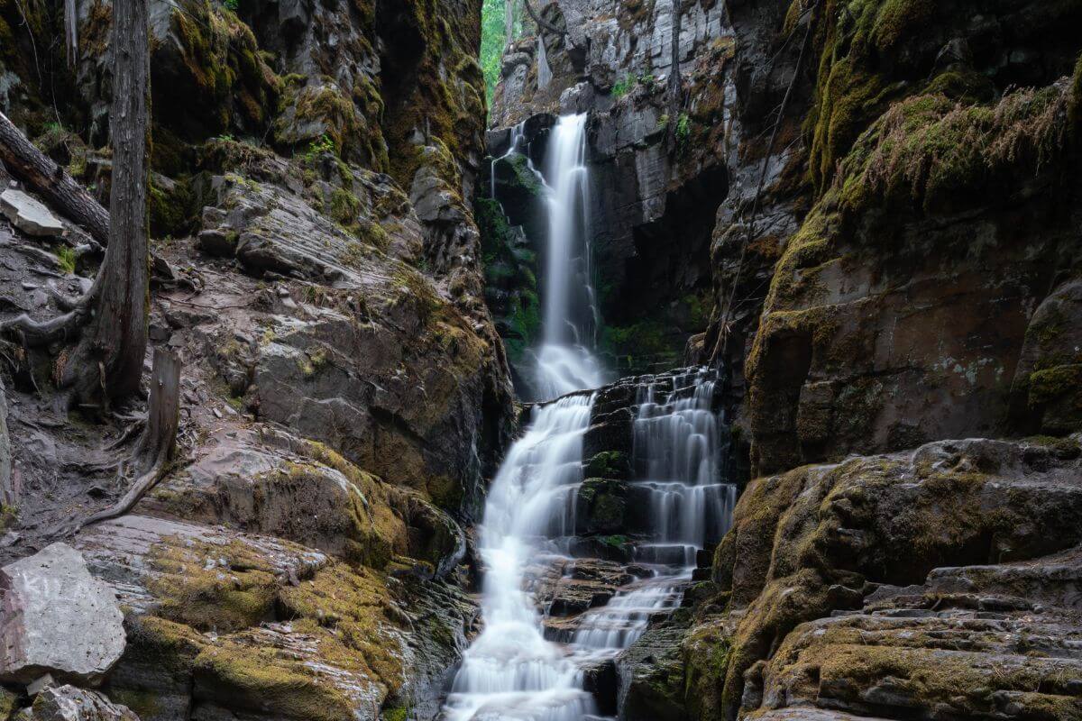 Little North Fork Waterfall in Montana, serene cascade amidst rugged forest terrain, water carving through mossy rocks and lush greenery.