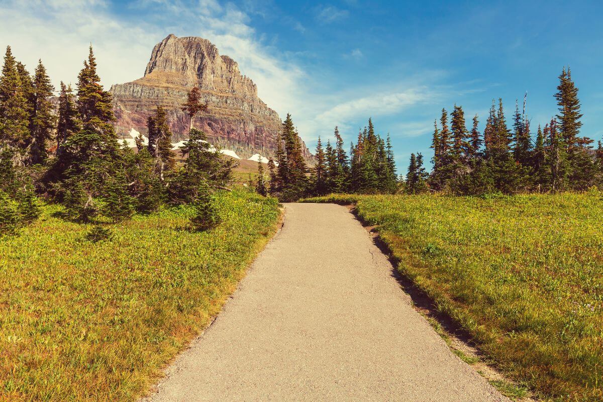 A path winds its way to a breathtaking mountain in Montana.