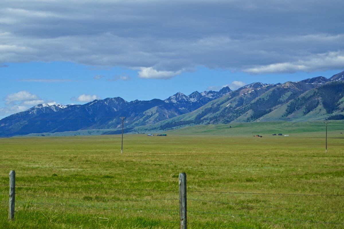 A scenic grassy field with majestic mountains in the background.