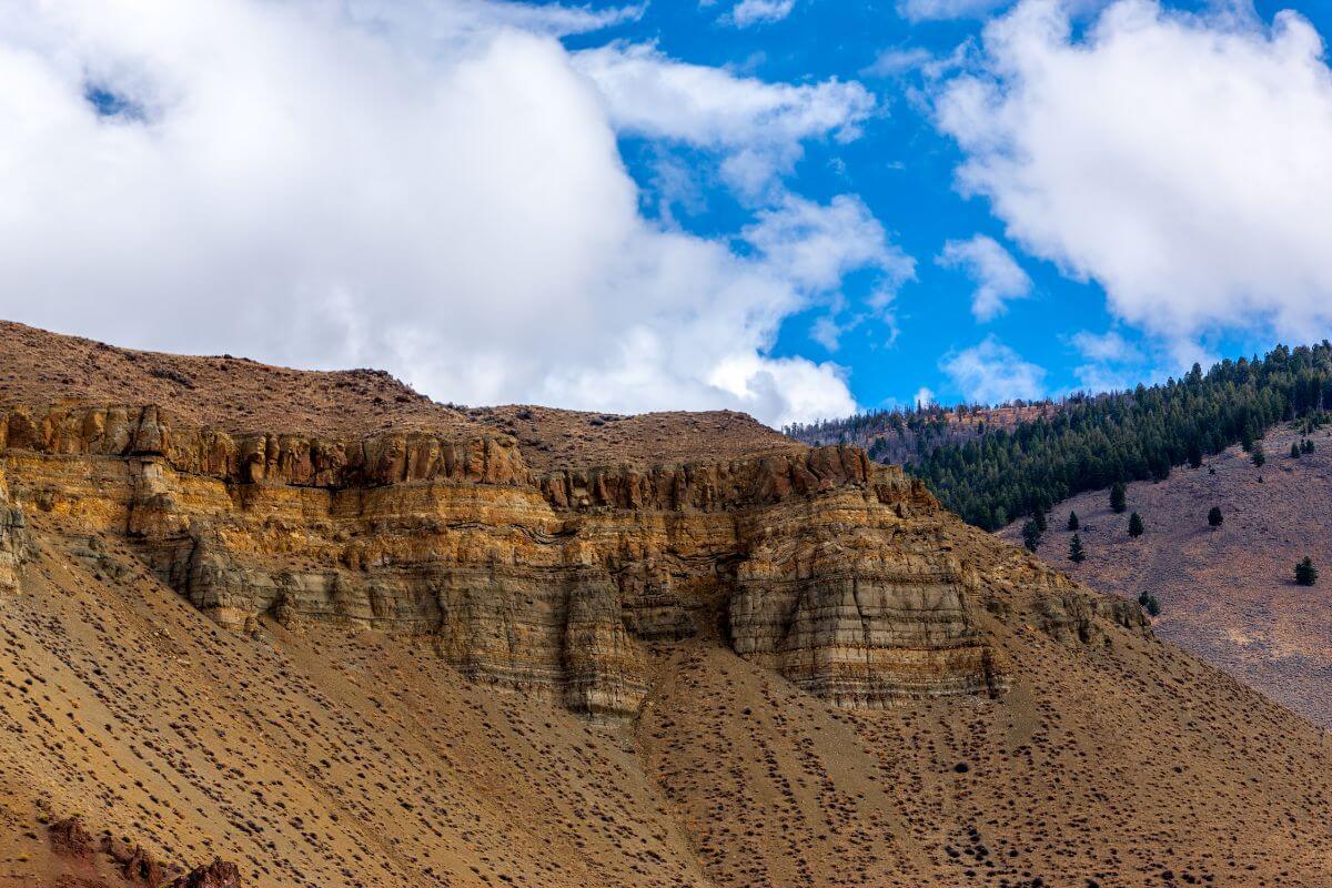 A rocky cliff with trees and a blue sky in Montana