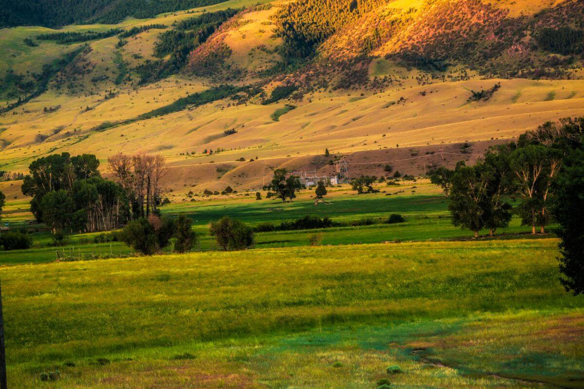 Soft evening light bathes the Montana range, casting warm hues over the rolling hills and green meadows, creating a serene atmosphere.
